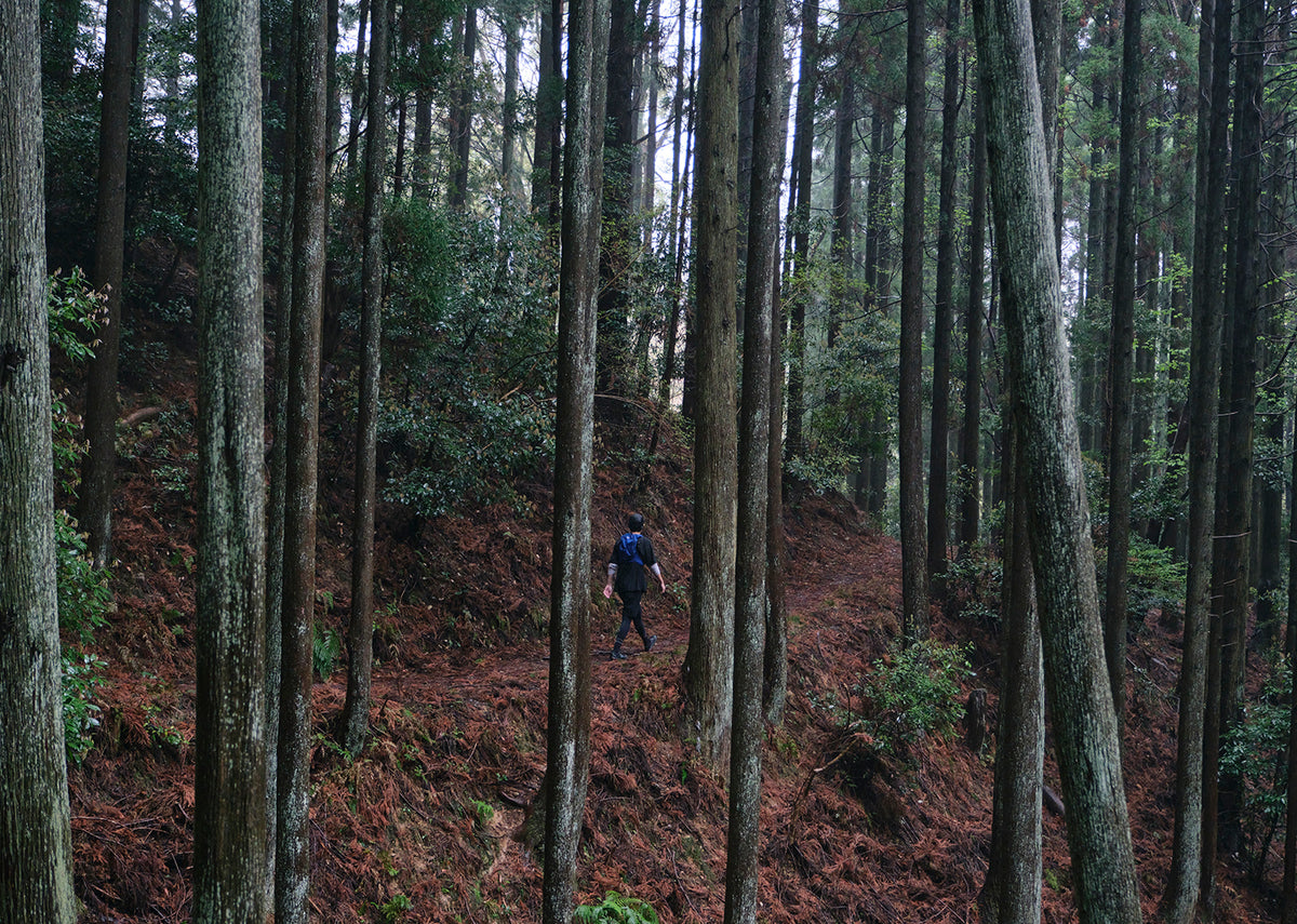 WILD TRIP Vol.3 大阪 箕面編
